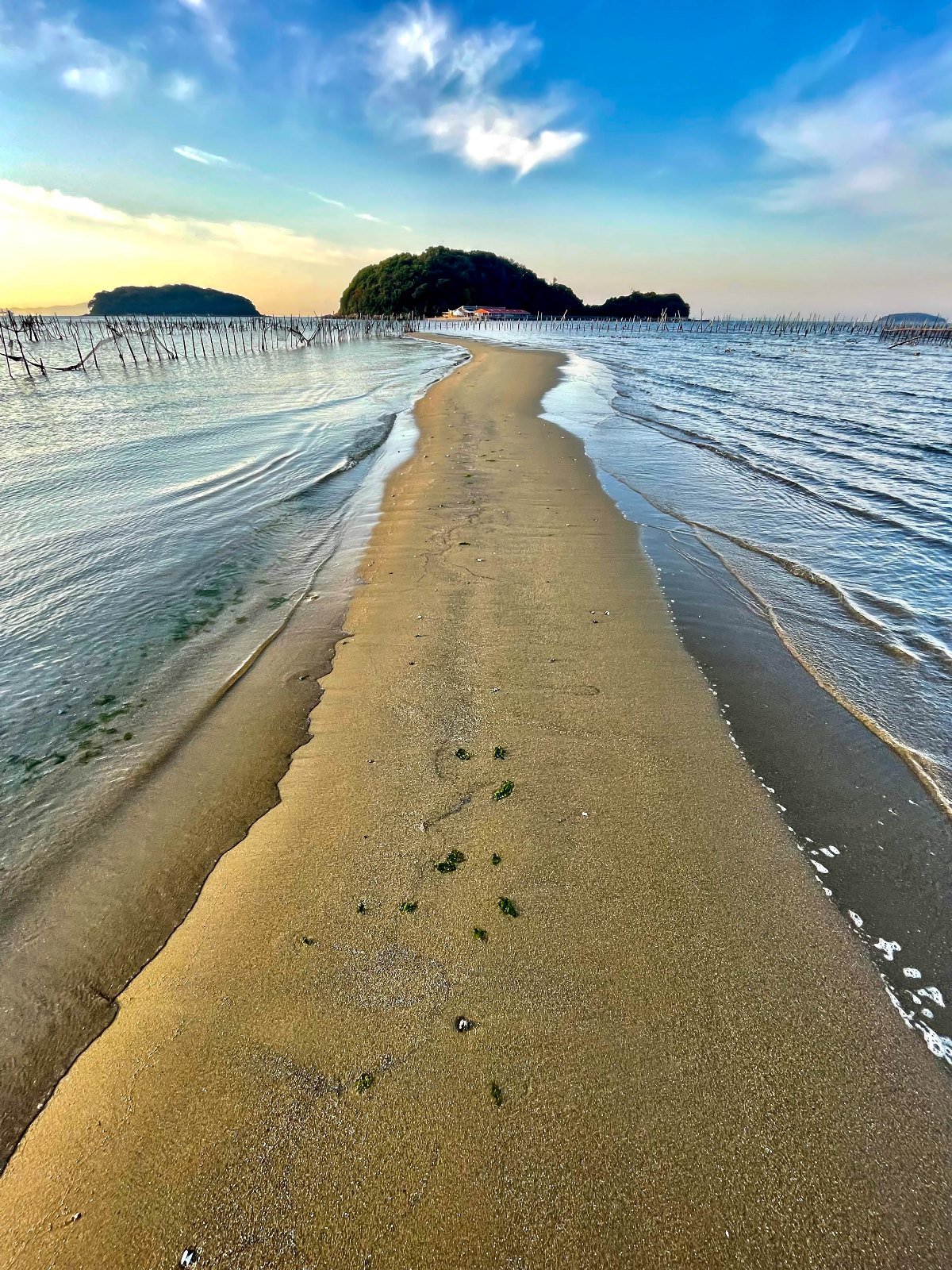 🏖️ 야가지 해변 (야가지 비치) 이미지 7